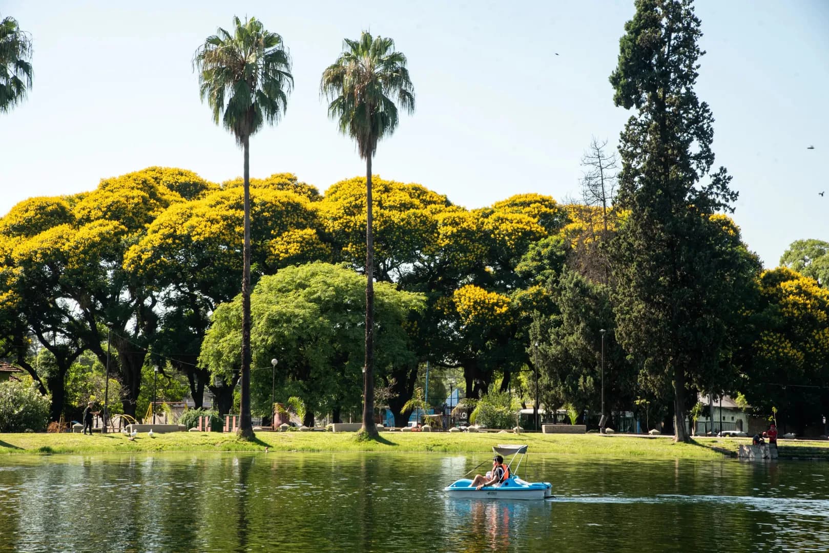 Bicilagos del Parque 9 de Julio